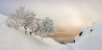Zima na Vápennej - Malé Karpaty