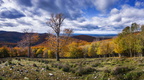 Soľný vrch - Malé Karpaty
