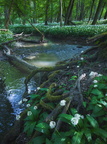 Majdán - Malé Karpaty 