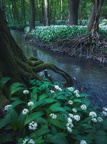 Majdán - Malé Karpaty 